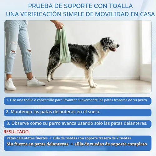 Vista 6 de Snugrance Silla de ruedas grande para perros para patas traseras, carrito de soporte ajustable para silla de ruedas con arnés de malla de aire