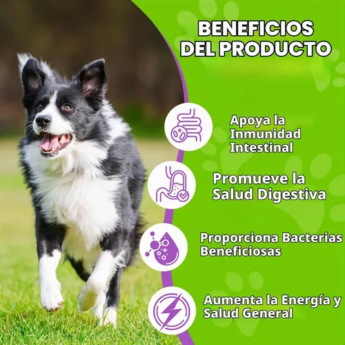 Vista 4 de Probióticos para perros, probióticos líquidos para perros, enzimas prebióticas y digestivas, suplemento de probióticos para perros que ayudan a