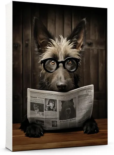 Vista 204 de Thuan Affenpinscher - Póster de lienzo con tus fotos, arte de pared para decoración del hogar, regalo conmemorativo para amantes de las mascotas