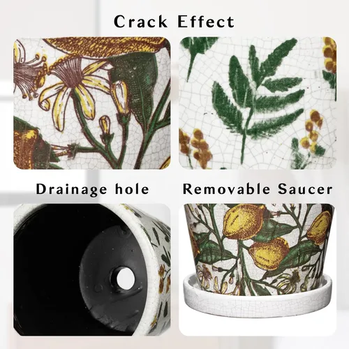 Vista 2 de Macetas decorativas de 5.5 pulgadas, macetas redondas de cerámica para plantas de interior con orificios de drenaje y platillos, macetas de flores