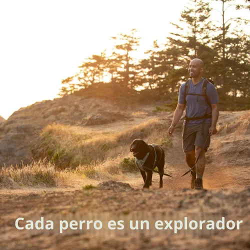 Vista 9 de Ruffwear, Front Range - Arnés reflectante para perro, suave y acolchado, de uso diario, con doble clip para correa, ajustable, ligero, para caminar