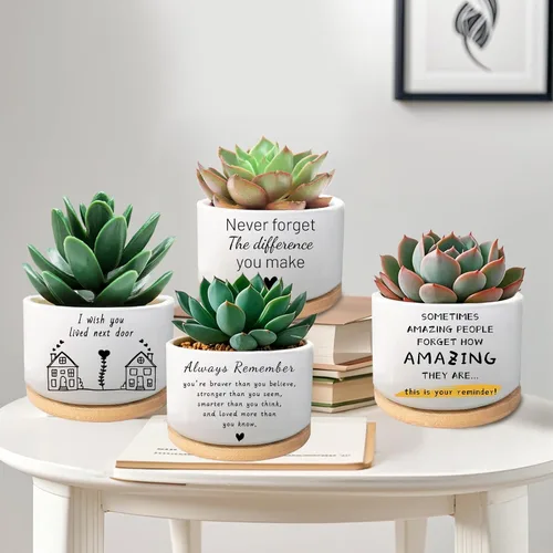 Vista 5 de Regalos inspiradores para mujeres, bonita maceta para suculentas, maceta de cactus para amantes de las plantas, regalo motivacional de animación