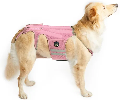Vista 10 de Coodeo Soporte de espalda para perros para artritis, soporte de espalda para mascotas para IVDD, protector de espalda ayuda a aliviar el dolor