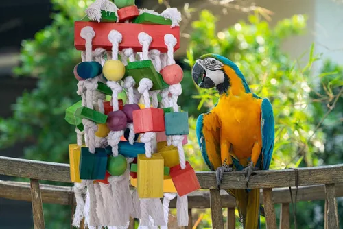 Vista 3 de Juguetes de pájaros loros extra grandes para guacamayos, loros amazónicos, accesorios de jaula de pájaros gris africano