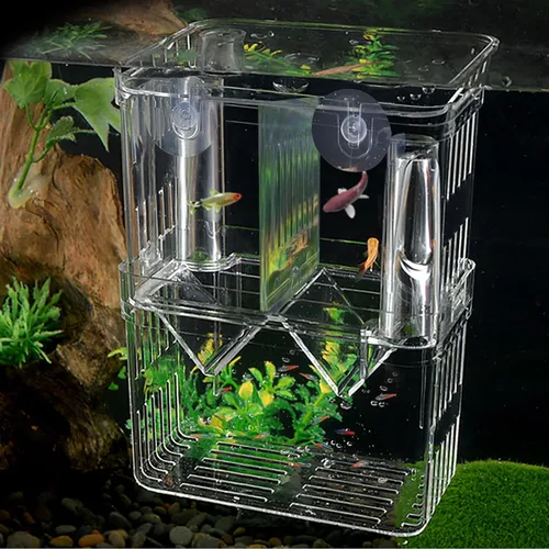 Vista 6 de WishLotus Caja de cría de peces, caja criadora suspendida para pecera con ventosas, caja de aislamiento de peces de acuario multifuncional