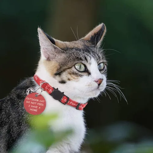Vista 2 de KOOLTAIL Collar de gato con campana, paquete de 3 collares para gatos con tabla de advertencia para colgar «Do Not Feed Me», lindo collar ligero
