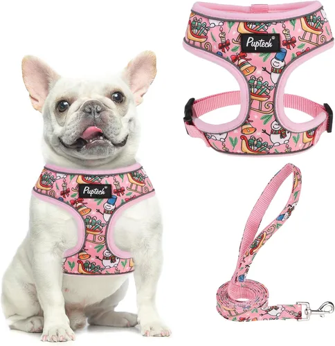 Vista 55 de PUPTECK Juego de arnés y correa de malla suave para perro, cachorro y gato, cómodo chaleco acolchado sin tirones, azul Pascua, S