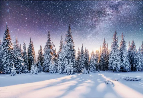 Vista 8 de Renaiss Fondo de fotografía de paisaje forestal de invierno de 7 x 5 pies, paisaje natural, copos de nieve, pinos, fondo para niños y adultos, 23D94