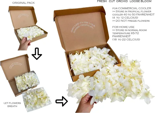 Vista 5 de Flores frescas cortadas de Miami OrchidClub USA por Sunne Tropical DIY Lei, decoración de alimentos y bebidas (50 blanco)