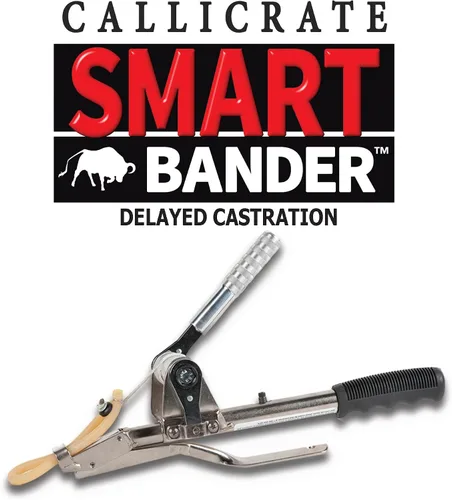 Vista 2 de ises Callicrate Smart Bander