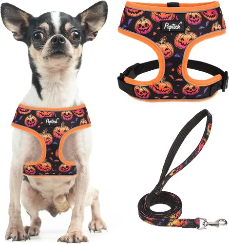 Vista 37 de PUPTECK Juego de arnés y correa de malla suave para perro, cachorro y gato, cómodo chaleco acolchado sin tirones, azul Pascua, S