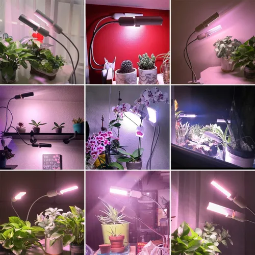 Vista 7 de A Plus Luces LED inteligentes de cultivo para plantas de interior – Simulación de brillo de luz solar en tiempo real, luz de crecimiento de espectro