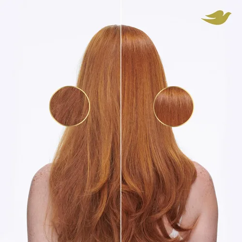 Vista 6 de Dove Damage Therapy Champú de humedad diaria para cabello seco con tecnología de cuidado de bio-proteínas y suero hialurónico, 28 onzas líquidas