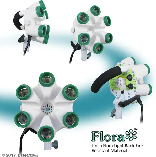 Vista 7 de LINCO Lincostore Flora LED 1860 * 2 luces de fotografía súper brillantes para fotografía, película y estudio de video iluminación AM161- Cena