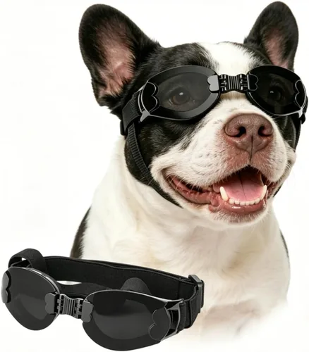 Vista 9 de Gafas de sol para perros de raza media, protección ocular para perros medianos, resistentes al viento, color negro