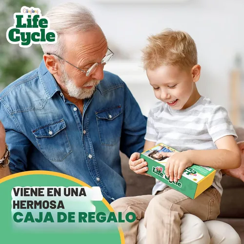 Vista 6 de Kit de animales de ciclo de vida, juguete de ciencia Montessori con juego de 24 piezas, mariposa, rana, pollo, abeja, mariquita y tortuga, regalo
