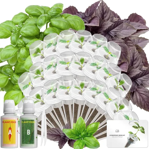 Vista 15 de Hydroponics - Vaina de semillas con albahaca genovesa y albahaca morada, kit completo de 8 cápsulas con esponja, canasta, cúpula, etiqueta