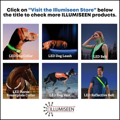 Vista 8 de Collar para perros LED Illumiseen, recargable por USB, Anaranjado encendido