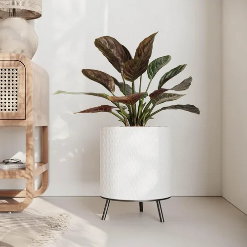 Vista 5 de EverNest Claire - Maceta blanca neutra de panal con soporte Nyra, macetas de interior, SelectBase, estilo bohemio moderno de mediados de siglo