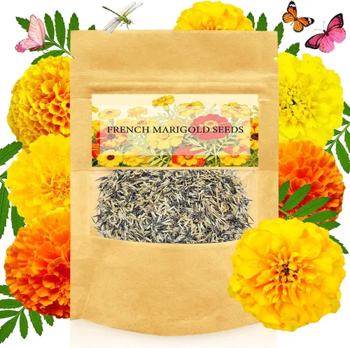 Vista 14 de LUOJIBIE Cosmos Seeds, más de 4,500 semillas de flores cosmos para 2026, semillas de flores silvestres para plantar jardín al aire libre, mezcla