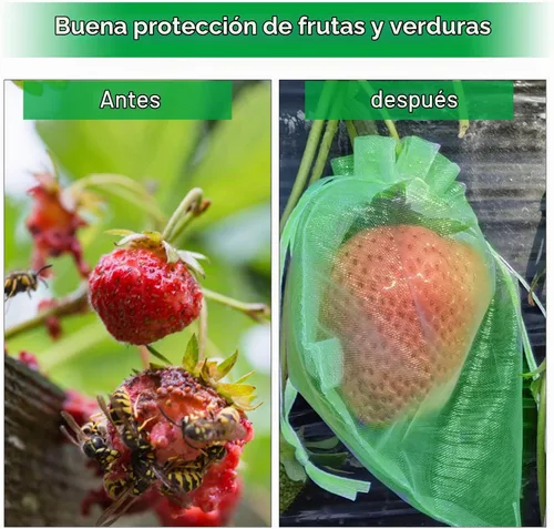 Vista 3 de 100 bolsas de protección de frutas verdes de 6 x 8 pulgadas, bolsas de malla para frutas con cordón, bolsa de malla para proteger las plantas