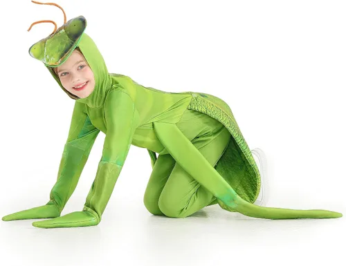Vista 2 de DLSNZ Disfraz de saltamontes de mantis rezando para niños, disfraz cosplay de Halloween