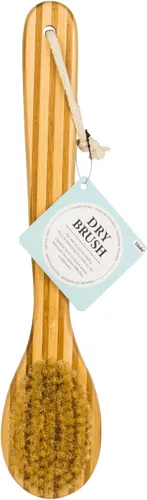 Vista 5 de Lindo Cepillo seco – para cepillado húmedo o seco, limpiador de espalda de ducha, cerdas suaves, mango de madera largo natural, exfoliante, masaje