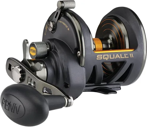 Vista 8 de PENN Squall II Star Drag - Carrete de pesca convencional