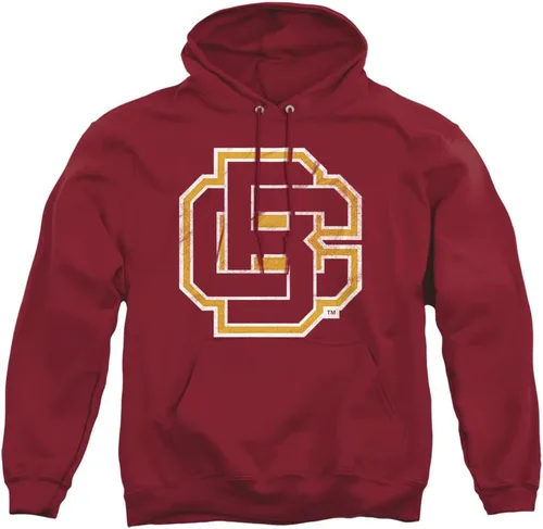 Vista 51 de Distressed College Primary Logo Adult Pullover Hoodie Collection 1 Universidad Estatal de Albany