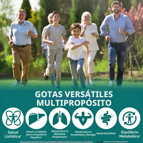 Vista 7 de Gotas de drenaje linfático Suplemento de apoyo del sistema linfático 21 en 1 Limpieza linfática con cúrcuma, equinácea, saúco y diente de león