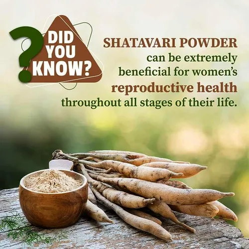 Vista 7 de VEDAPURE Shatavari Orgánico Polvo 100% Raíz Pura 3.53 oz (Asparagus Racemosus) Suplemento de hierbas ayurvédicas Hierba Adaptogénica Natural Vegano