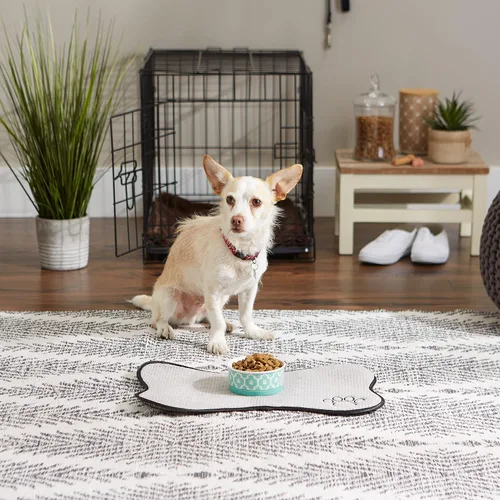 Vista 6 de Recipiente y contenedor para mascotas Bone Dry Lattice Collection, plato único, pequeño, 4.25x2 pulgadas, aguamarina