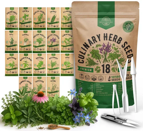 Vista 9 de Organo Republic Paquete variado de 12 semillas de hierbas culinarias - 7,355+ semillas criollas, sin transgénicos, para jardinería en interiores