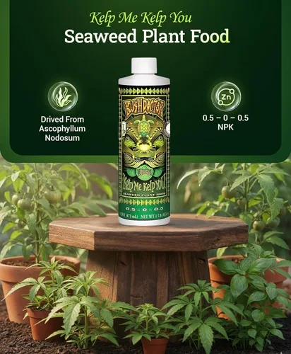 Vista 2 de FoxFarm Bushdoctor Kelp Me Kelp You Fertilizante, extracto líquido de algas marinas para plantas, verduras y flores, promueve el crecimiento