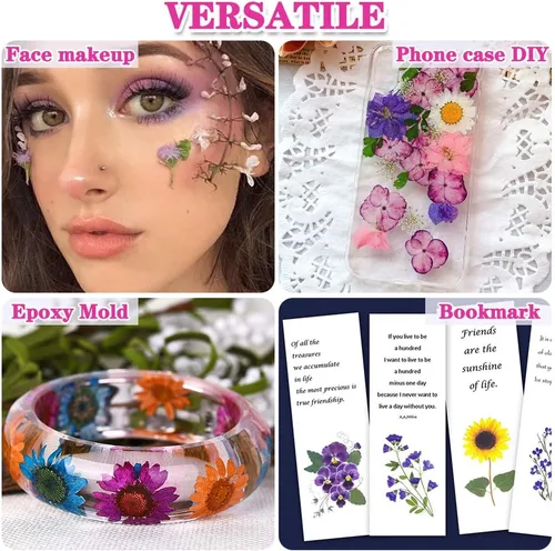 Vista 6 de Más de 170 pétalos de hojas de flores secas prensadas para manualidades, hermosas flores prensadas margaritas para joyas de resina, flores