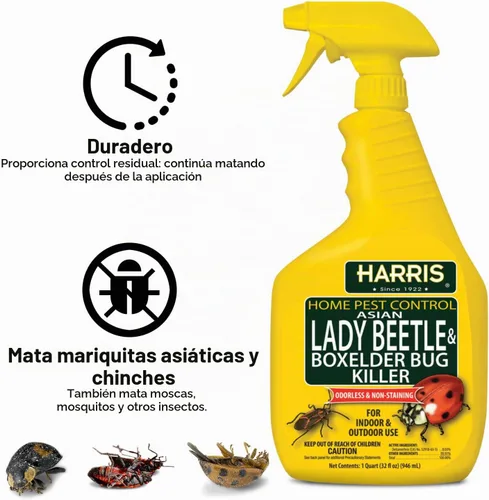 Vista 3 de Harris Asian Lady Beetle and Box Elder Killer, spray líquido con fórmula residual extendida sin olor y sin manchas (32 onzas)
