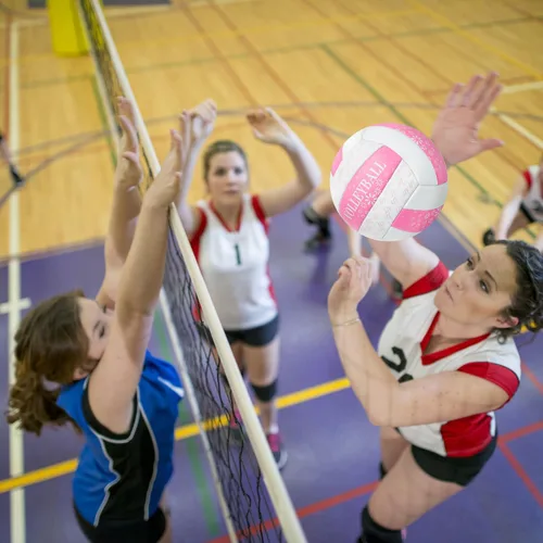 Vista 4 de Pelota de voleibol rosa y morado, tamaño 5, tamaño oficial con bomba para mujeres, niñas, hombres, jóvenes, adolescentes y adultos, pelota