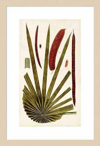 Vista 7 de Amanti Art Vision Studio - Lienzo decorativo para pared, 24 x 17 pulgadas, variedades de hojas VI por Vision Studio, arte de pared de naturaleza