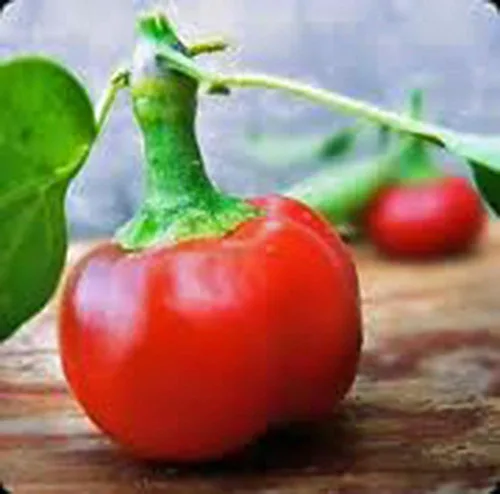 Vista 2 de Pimienta, Cereza Caliente Grande, Reliquia, 20 Semillas, Gran Fresco N Cocinado