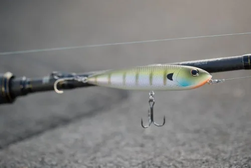 Vista 15 de Berkley J-Walker 100 Baby Bass