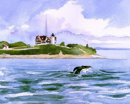 Vista 2 de Nobska Point Lighthouse & Whale, Woods Hole, Cape Cod, Massachusetts. Impresiones artísticas de acuarela mate (5 x 7)