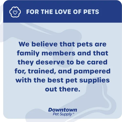 Vista 8 de Downtown Pet Supply Thin Junior Bully Sticks (6 pulgadas – 1/2 libra) – Palitos de matón para perros pequeños y cachorros – Un solo ingrediente