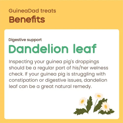 Vista 5 de GuineaDad Golosinas de hierbas orgánicas de conejillo de indias – Comida para conejillo de indias con un práctico embalaje sabor a hoja de diente