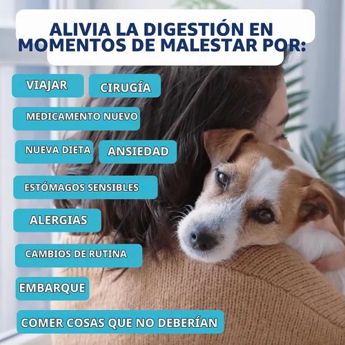 Vista 4 de Under the Weather Bland Diet para perros Fácil de digerir para perros enfermos Siempre esté listo Contiene electrolitos – Carnes naturales