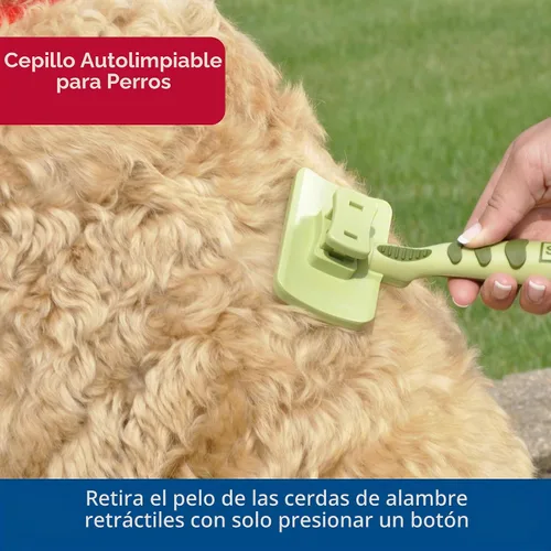 Vista 3 de Safari Cepillo protector de limpieza para perros, M, Verde
