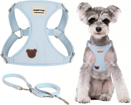 Vista 10 de Puppytie Arnés para perro y correa con patrón de oso, beige, XXS