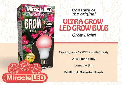 Vista 3 de Craft - Bombilla LED de espectro rojo con flor de fuego, reemplazo de 150 W