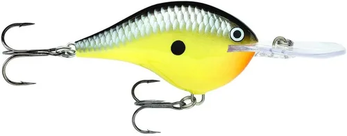 Vista 5 de Rapala DT (Dives a)