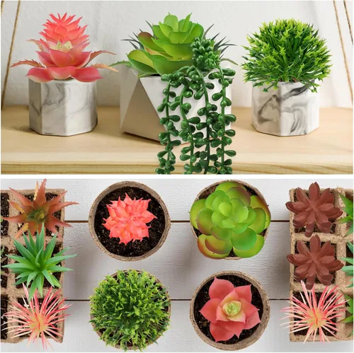 Vista 4 de QUOZUO Plantas suculentas artificiales, 14 plantas suculentas coloridas, mini suculentas falsas para manualidades, hogar, jardín, oficina, fiesta