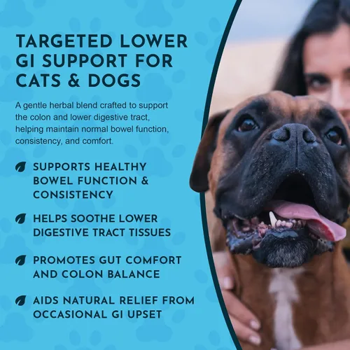 Vista 5 de Animal Essentials Polvo de rescate de colon ayuda digestiva a base de hierbas para perros y gatos, 1 onza – Hecho en Estados Unidos GI Support
